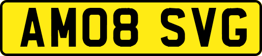 AM08SVG
