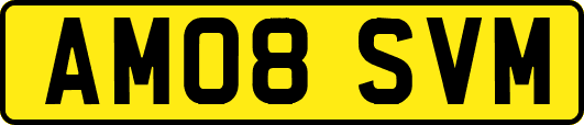 AM08SVM