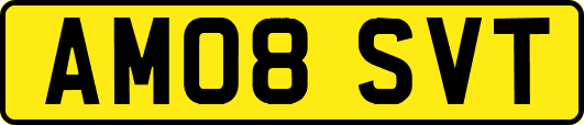 AM08SVT