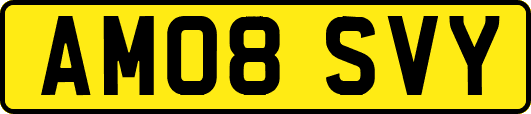 AM08SVY