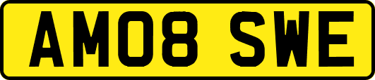 AM08SWE