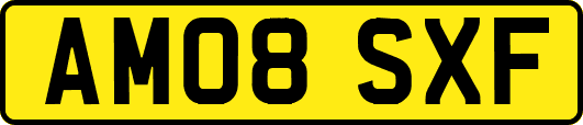 AM08SXF