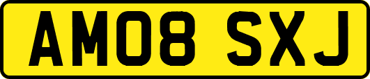 AM08SXJ
