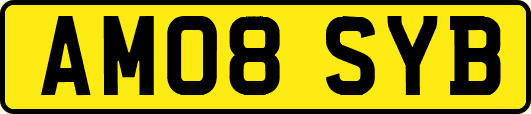 AM08SYB