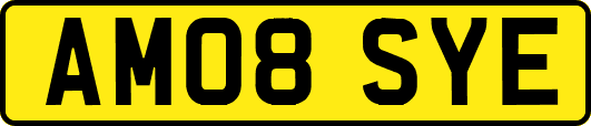 AM08SYE
