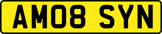 AM08SYN