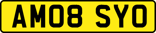 AM08SYO