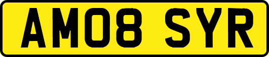 AM08SYR