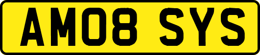 AM08SYS