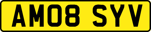 AM08SYV