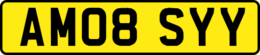 AM08SYY