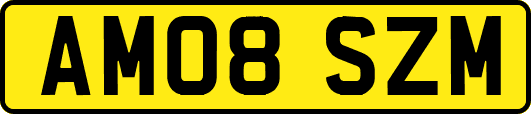 AM08SZM