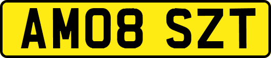 AM08SZT