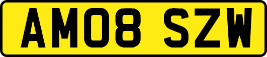 AM08SZW