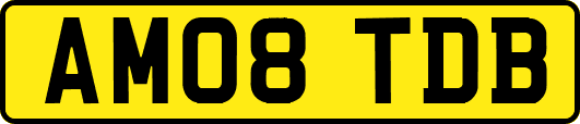 AM08TDB