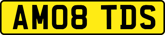 AM08TDS
