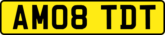 AM08TDT