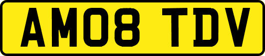 AM08TDV