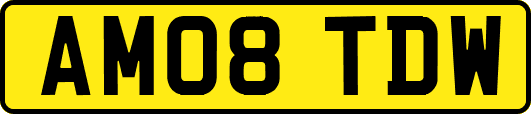 AM08TDW