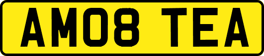 AM08TEA