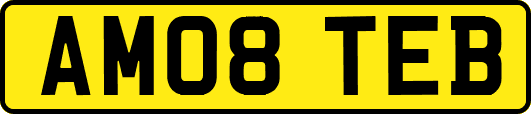 AM08TEB