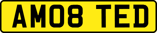 AM08TED