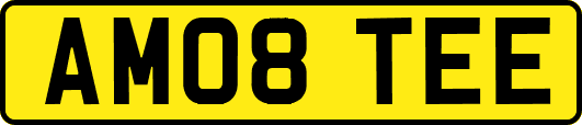 AM08TEE