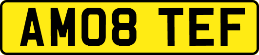 AM08TEF
