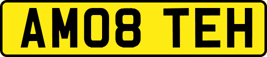 AM08TEH