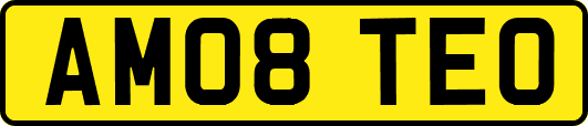 AM08TEO