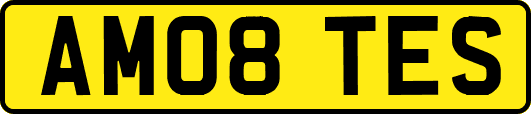 AM08TES