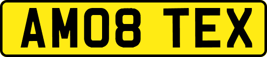 AM08TEX