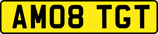 AM08TGT