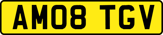 AM08TGV