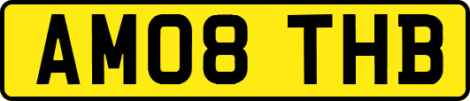 AM08THB