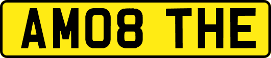 AM08THE