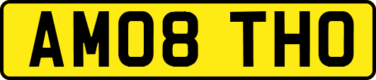 AM08THO