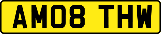 AM08THW