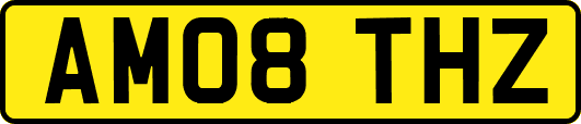 AM08THZ