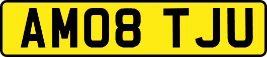 AM08TJU