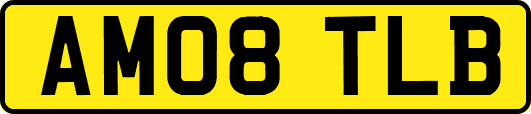 AM08TLB