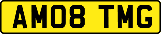 AM08TMG