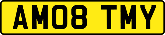 AM08TMY