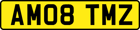 AM08TMZ