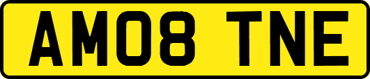 AM08TNE
