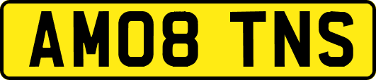 AM08TNS