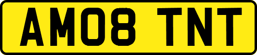 AM08TNT