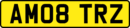 AM08TRZ