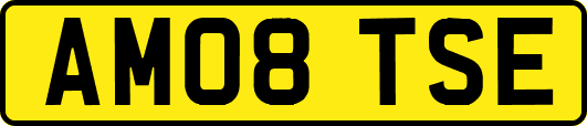 AM08TSE