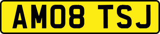 AM08TSJ